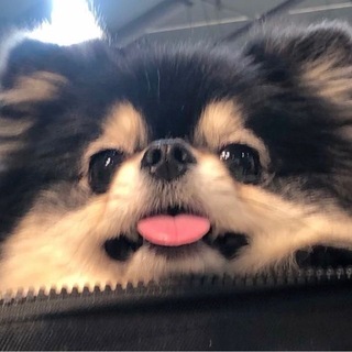 *･garden of beauty･*