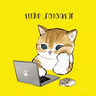 📲REELS•МЕМЫ ДЛЯ ФОТОГРАФА