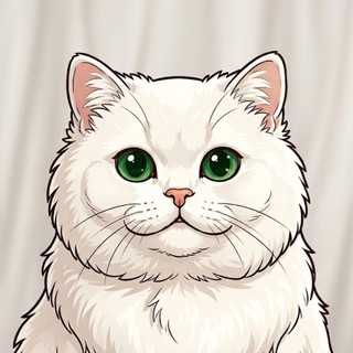 Формула Себя | OrlyKate