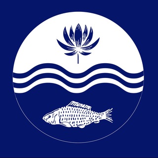 Администрация МО "Володарский район"