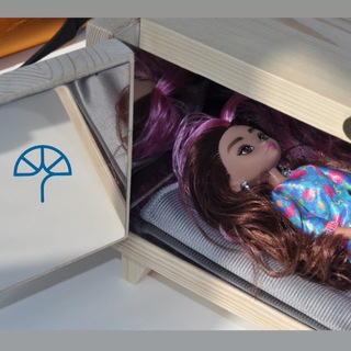 Кабина/камера Райха