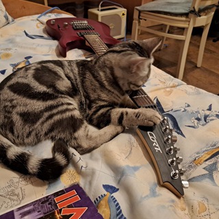 Рандомные гитарные каверы