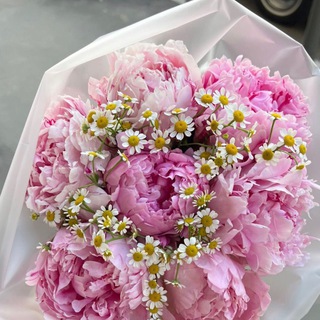 Реклама / прайс / отзывы