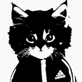 Вайбовые песни с тт 🎧