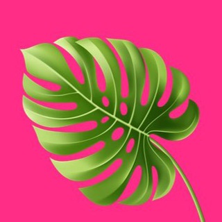 Релокация в декрете | Турция