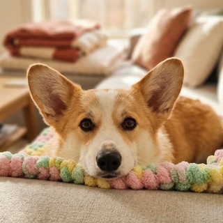 Диванные хроники релокантов 🛋