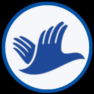 РАСПРАВЬ КРЫЛЬЯ 🕊 с Гулей Тайчи