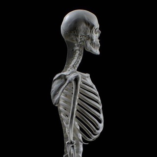 Дизайнер из села России