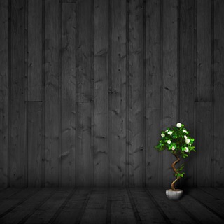 Программистская Библиотека