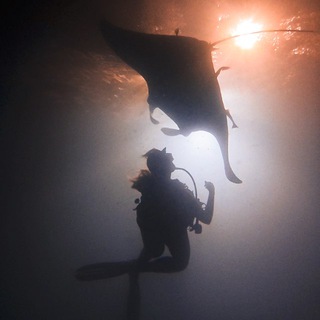 Подводная Кайференция | whatreshaloves