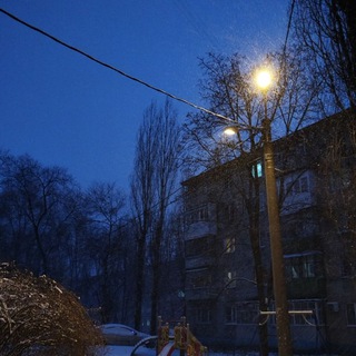 тушканчик