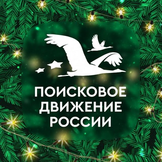 Поисковое движение России 🇷🇺