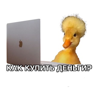 Развал схождение