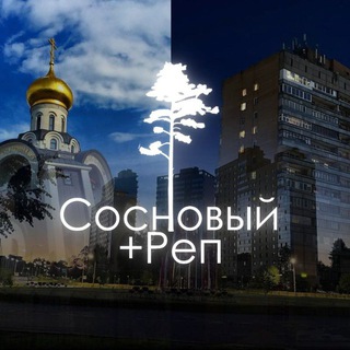 Сосновый +Реп❄️