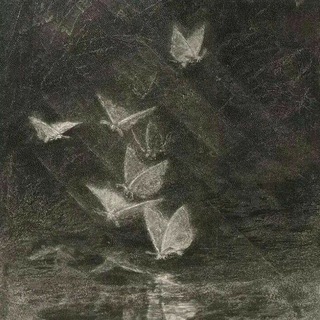 ᴦᥲдᥲнᥙᥱ ᴛᥲρ᧐