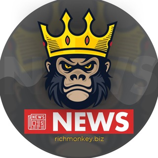 🐵RichMonkey⚡️Invest & Crypto