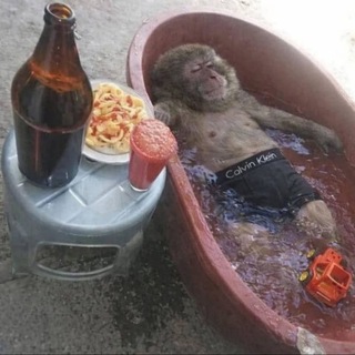 «Чикиви» cxltxr³