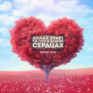 Послание сердцу