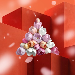 Рисан Новости