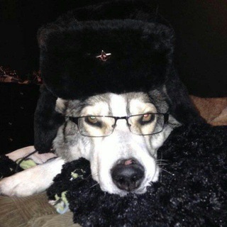 Риза роздачи