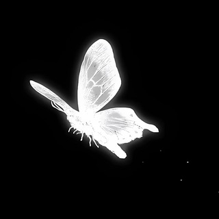 кабина ронкача <3