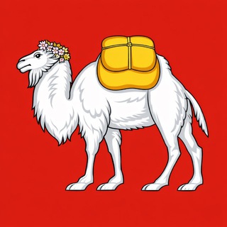 Дороги и транспорт Челябинской области. Миндортранс