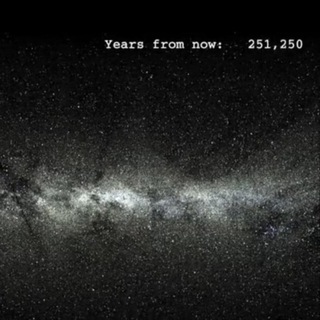 Пикник на обочине