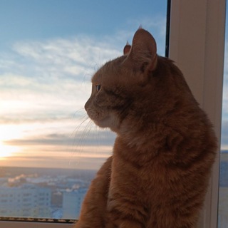 Робинчок и Мурзячок😎