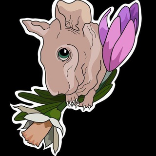 ❗️РОЗЫГРЫШ❗️Roblox trade's 🍀🦛