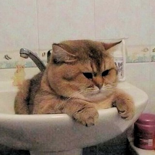 Книжные записки ЮАЯ