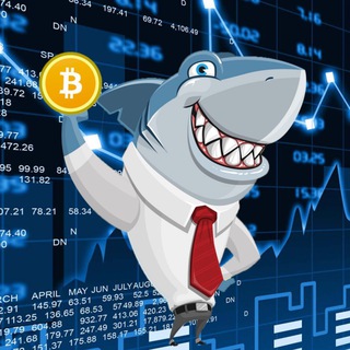 Rocket Shark 🦈 [PRIVATE CHANNEL🔒]