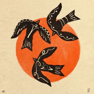 🐦‍⬛️ Птичка на проводе | Как приручить подростка