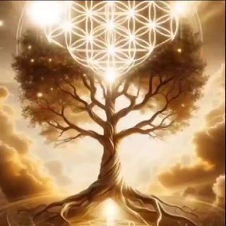 РОД | СИЛА ТРАДИЦИЙ