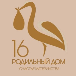 Родильный дом 16 СПб