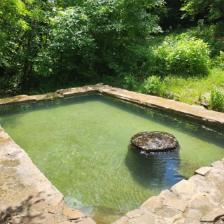 Родник Александровский Ростов