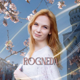 Путешествия Рогнеды: настолки, книги, 2 кота