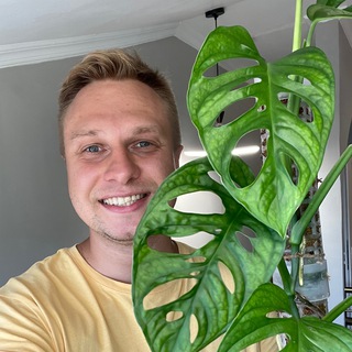 Рома | Поговорим про растения?