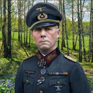 Роммель требует топлиVо и демократии