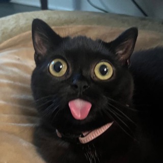 ПРИВЕТ, Я РОМА