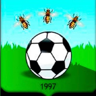 Федерация футбола Тамбовской области