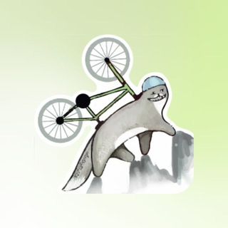 Скалы, Сосны, Гравий, Мох