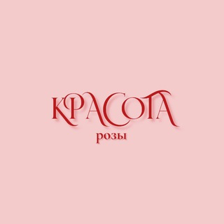 Красота розы | Rose beauty