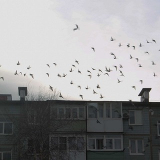 Илья фотографирует 📸