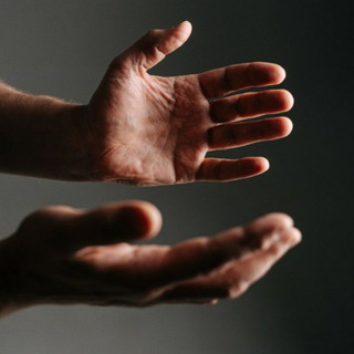 Школа прицельной биодинамики "Рова"