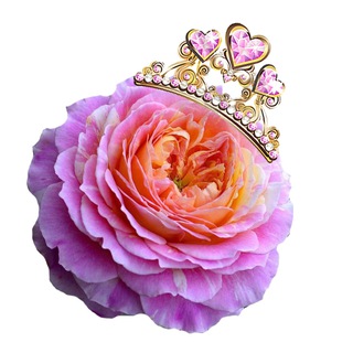 Королева сада