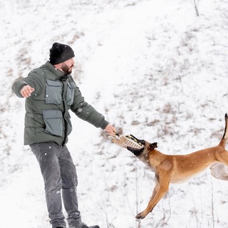 Нариман Розыев / Дрессировка собак