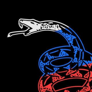 🇷🇺 РУСЛИБ🐱🐍