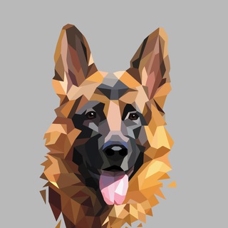 РСЛНО НКП Немецкая овчарка