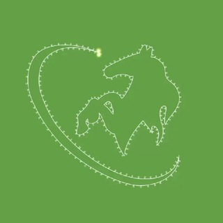 ТОМСКИЕ / РСО