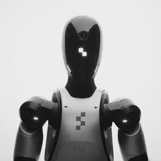 Домашние Гуманоиды